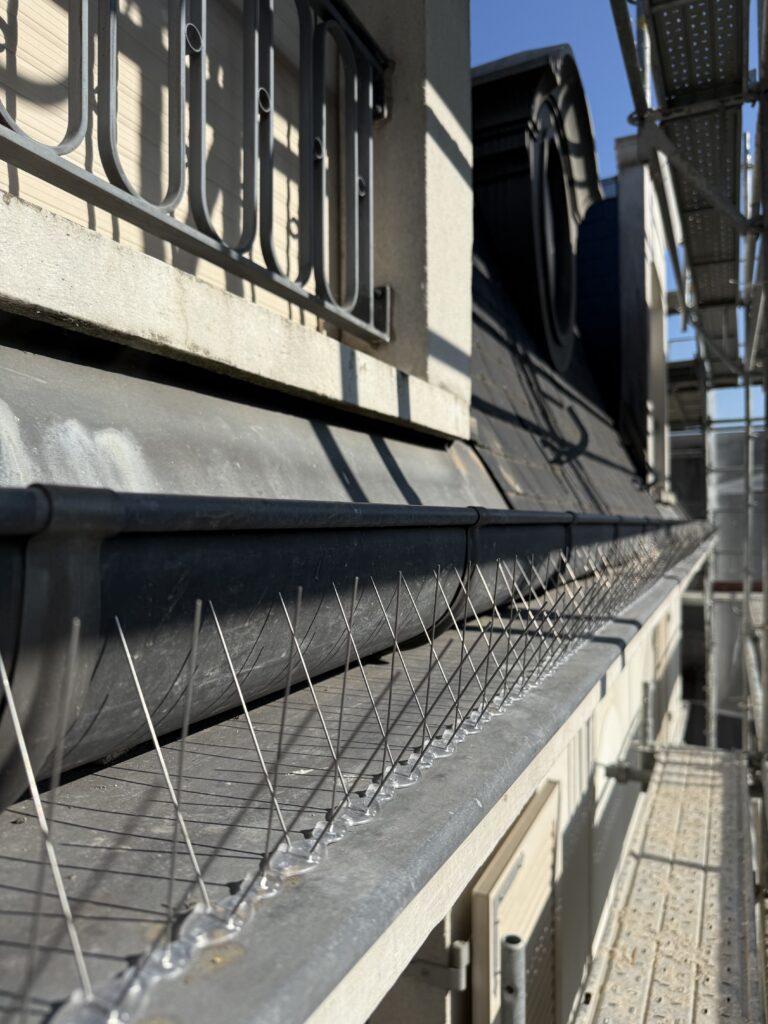 Dispositif anti volatiles